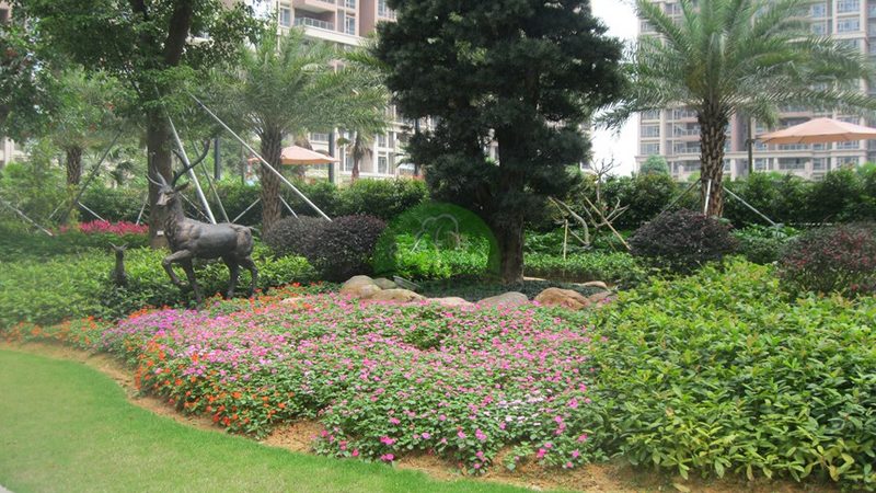 市政道路绿化施工合同范本：内容与要点解析