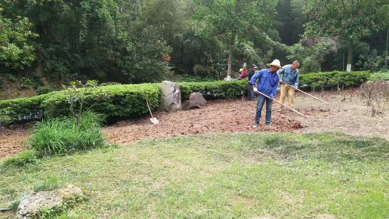 道路绿化工程苗木报价明细，你了解多少？**
