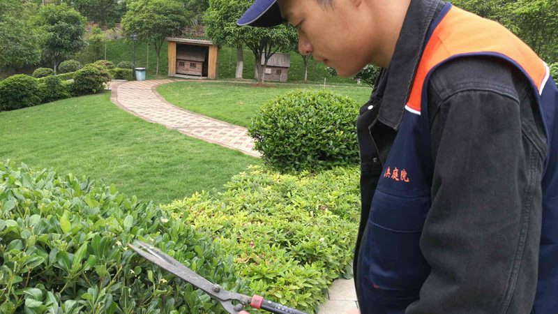 生态园林景观设计公司费用构成揭秘