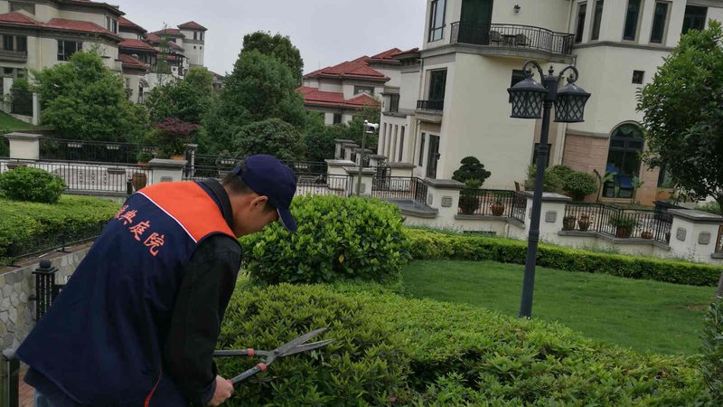 别墅庭院绿化设计施工：价格背后的考量因素**