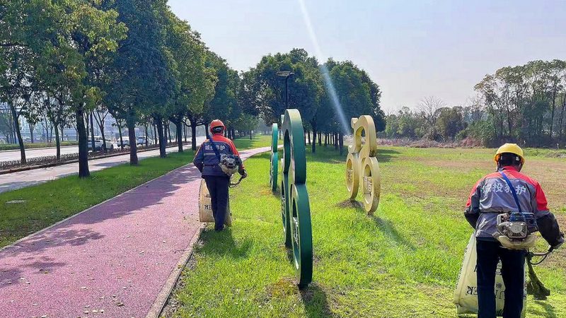 小区绿化苗木种植报价明细，你了解多少？**