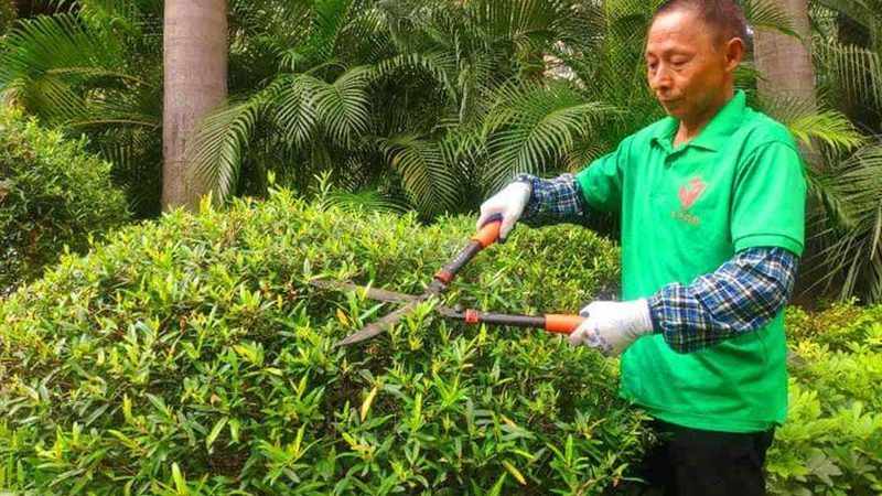 小型假山喷泉的选型与预算分析