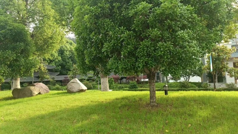 学校绿化种植土回填，报价如何确定？**