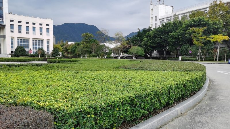 假山喷泉循环系统：价格之外，您还需要了解这些**