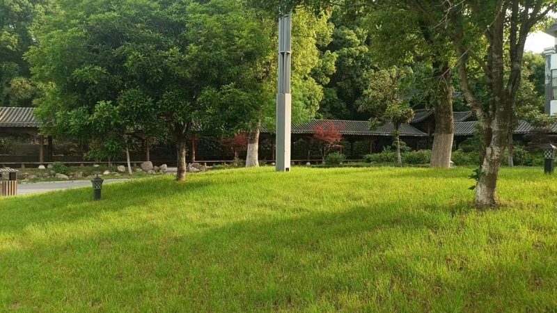 高端庭院草坪养护，如何选择专业公司？**