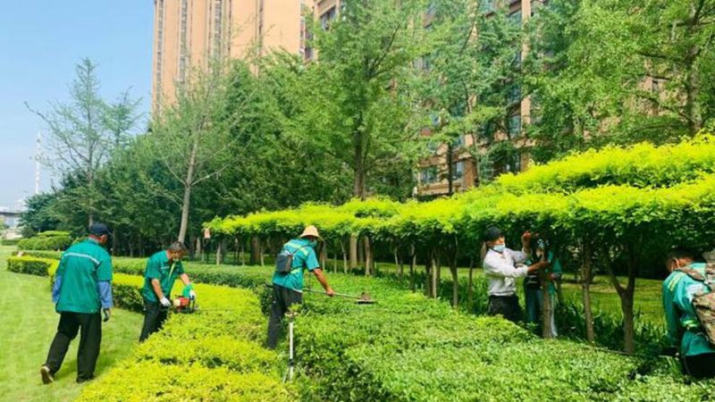 市政道路绿化喷灌安装：关键因素与报价解析